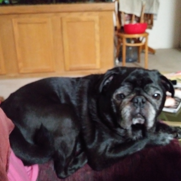 Meet your Posher, Sharon - Picture 9 of 9